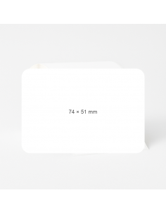 Thermo Ecco adhesive labels 74 x 51mm (price per box)